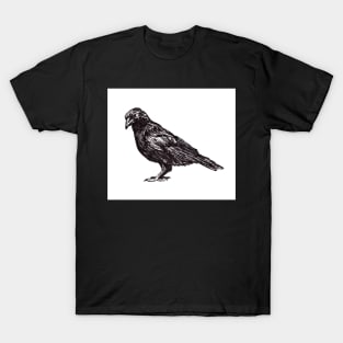 Crow T-Shirt